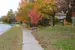 Neighbourhood